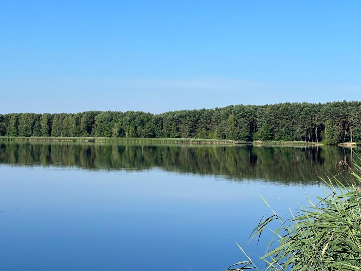Family & Business Sauna Teznia Apartments: Woodland Retreat With Private Wellness Kielce